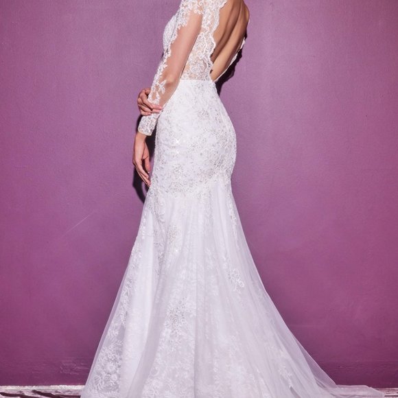 Bridal Wedding Long Sleeves Illusion V-Neck Long Sleeve Wedding Dress CD951W - Picture 2 of 4